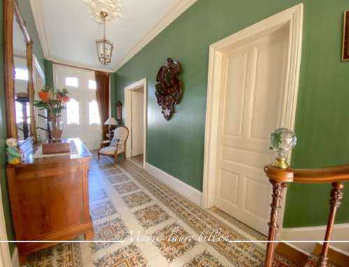 Les Aubiers Deux-Sèvres maison foto 7184011