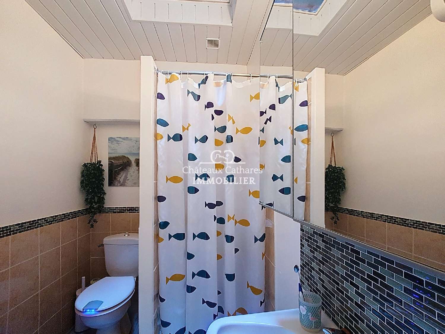 kaufen Haus Lesquerde Pyrénées-Orientales 8