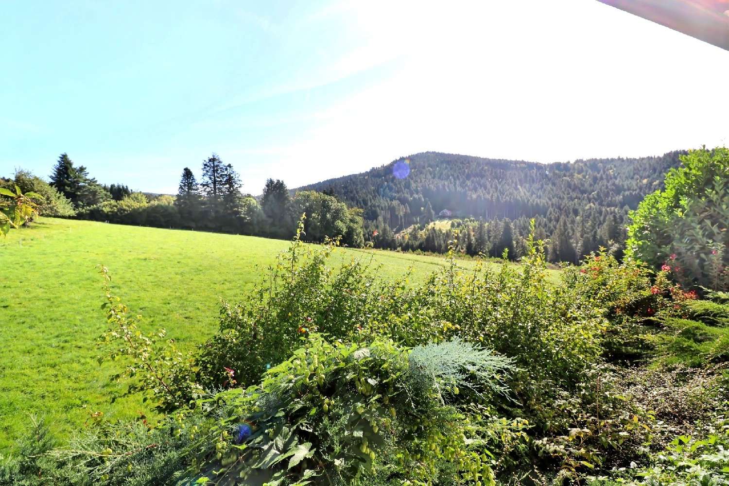 à vendre maison Liézey Vosges 2