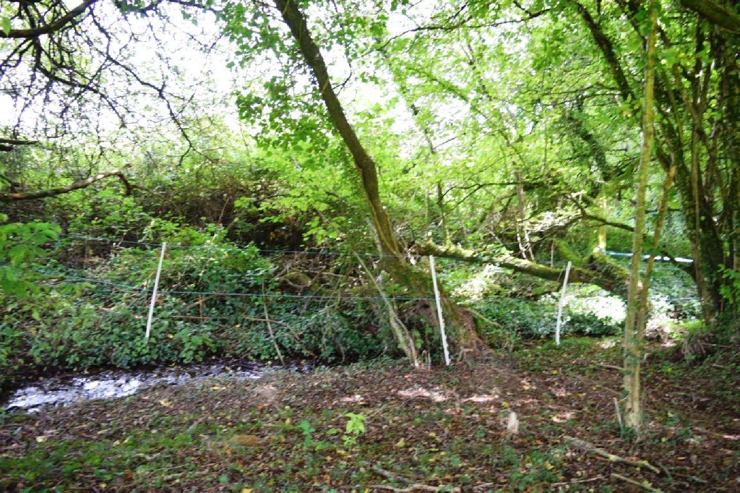 à vendre maison Lignol Morbihan 6