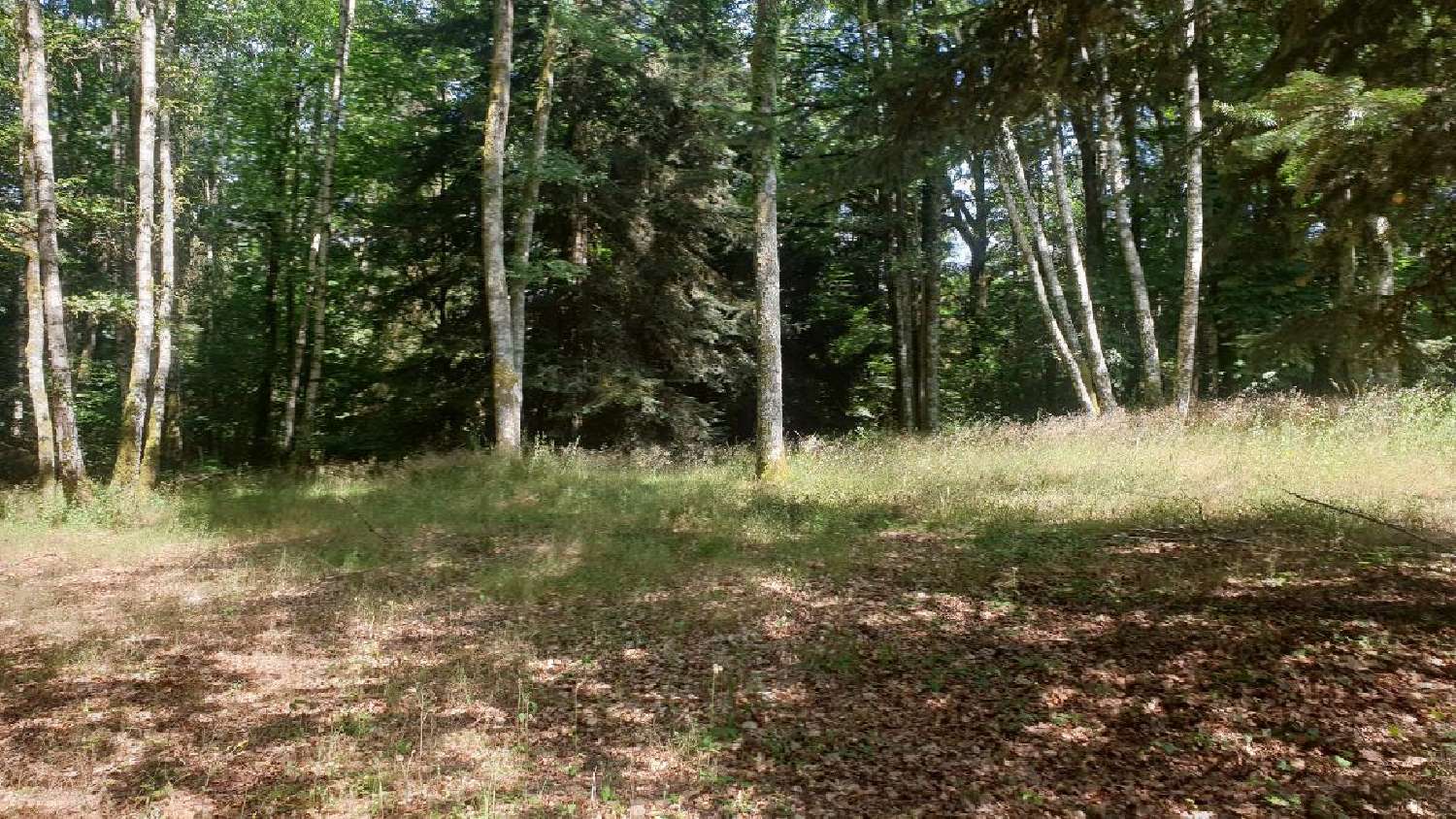 kaufen Haus Linards Haute-Vienne 2