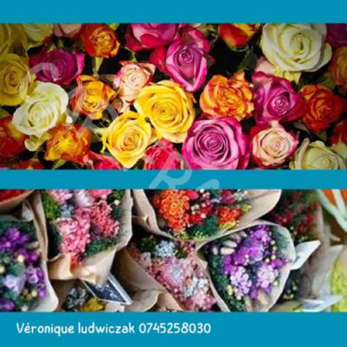 Loffre Nord huis foto 7174601