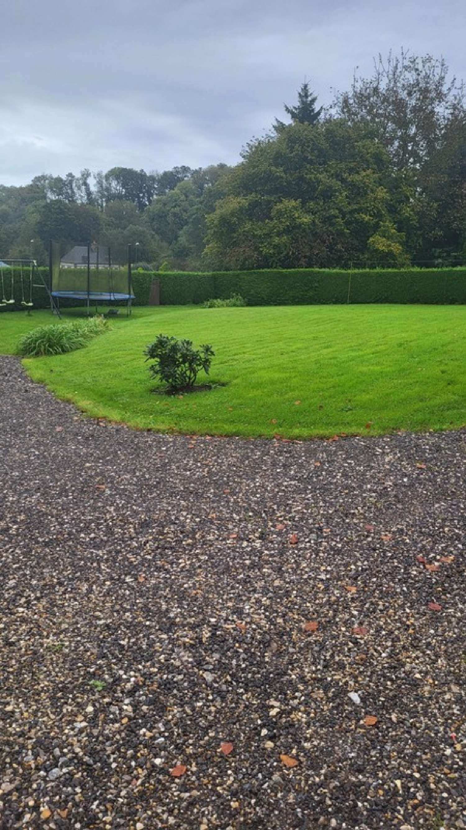 kaufen Haus Luneray Seine-Maritime 6