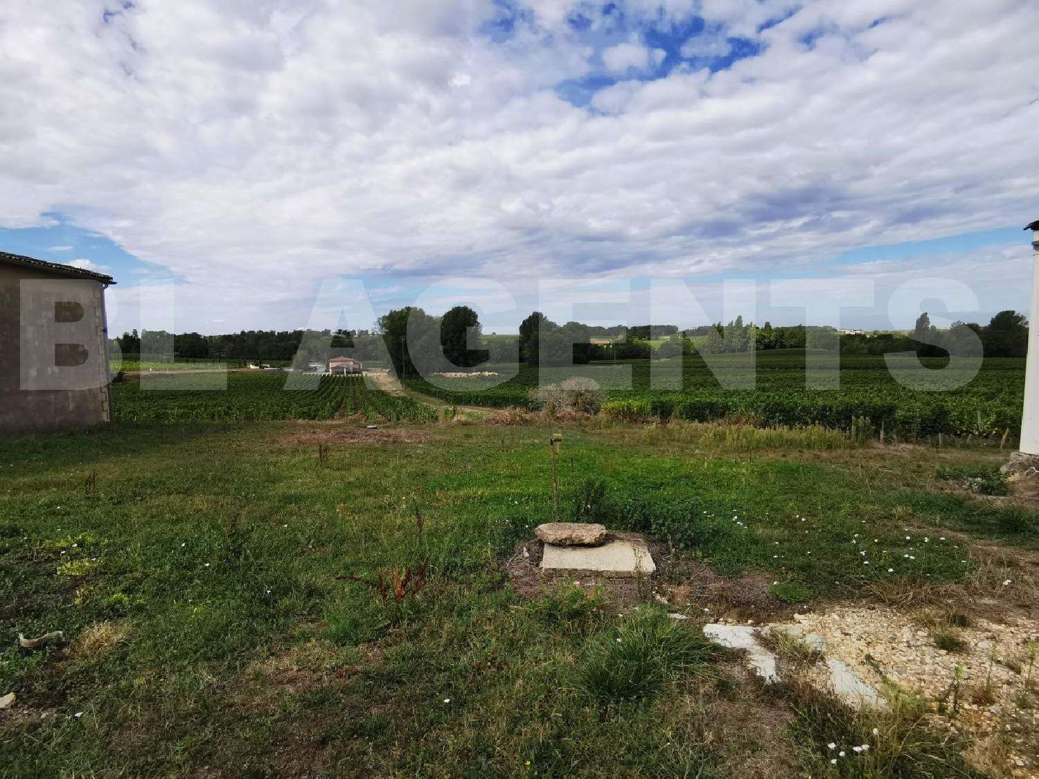 for sale house Lussac Gironde 1