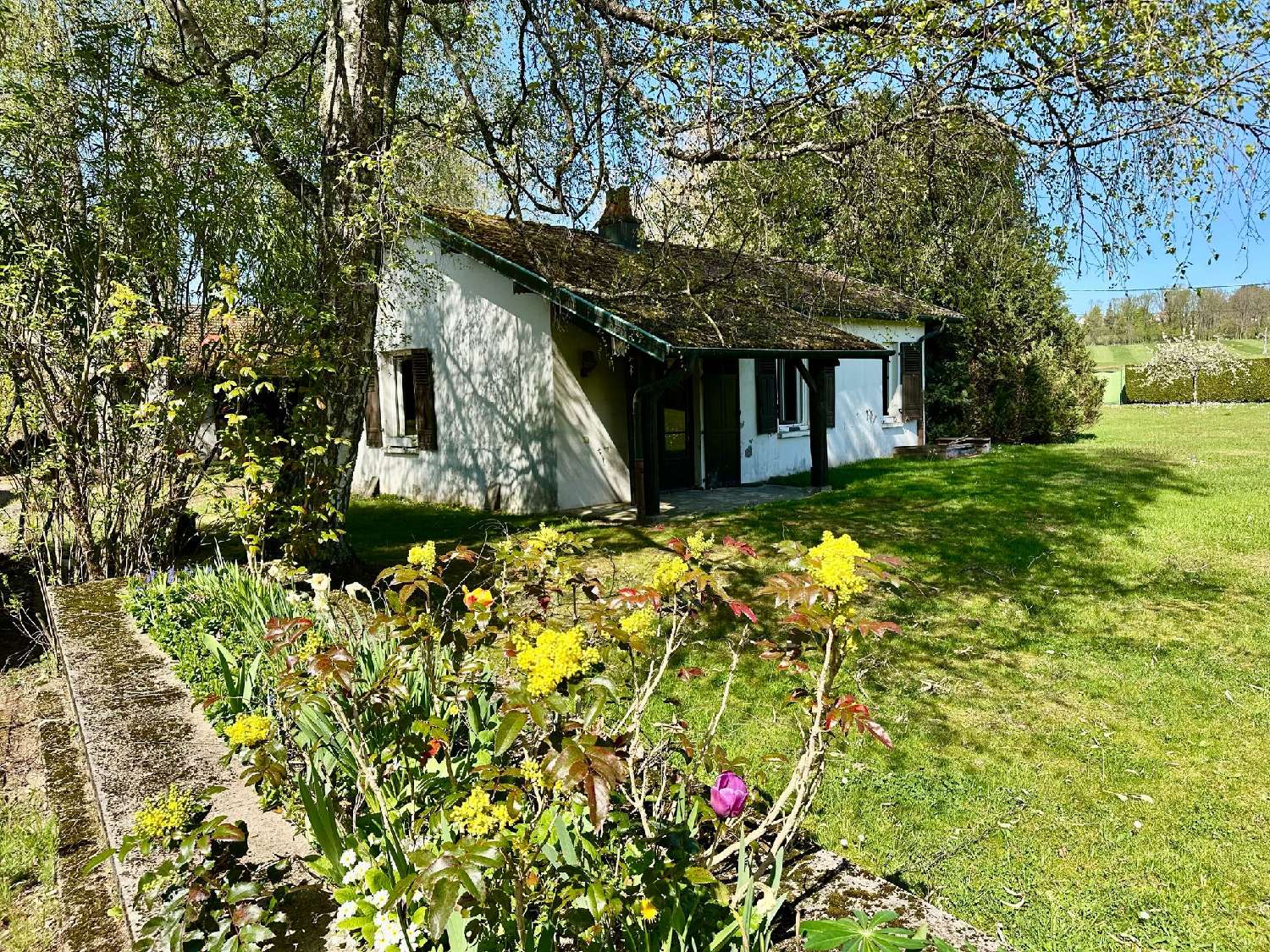  te koop huis Luxeuil-les-Bains Haute-Saône 3