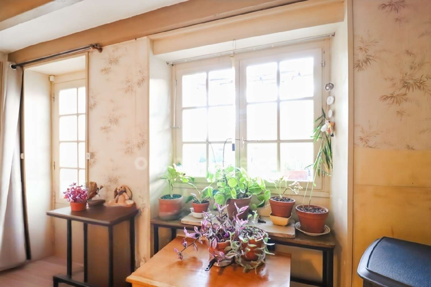  kaufen Haus Magnac-Laval Haute-Vienne 4