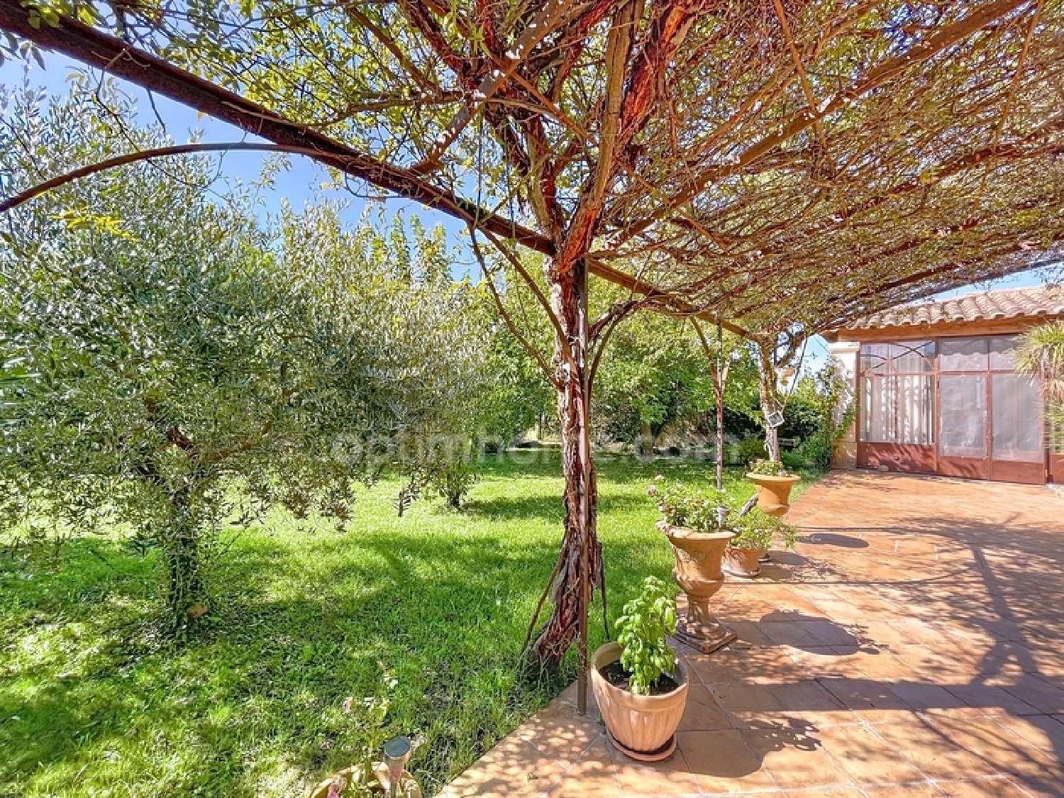  te koop huis Maillane Bouches-du-Rhône 2