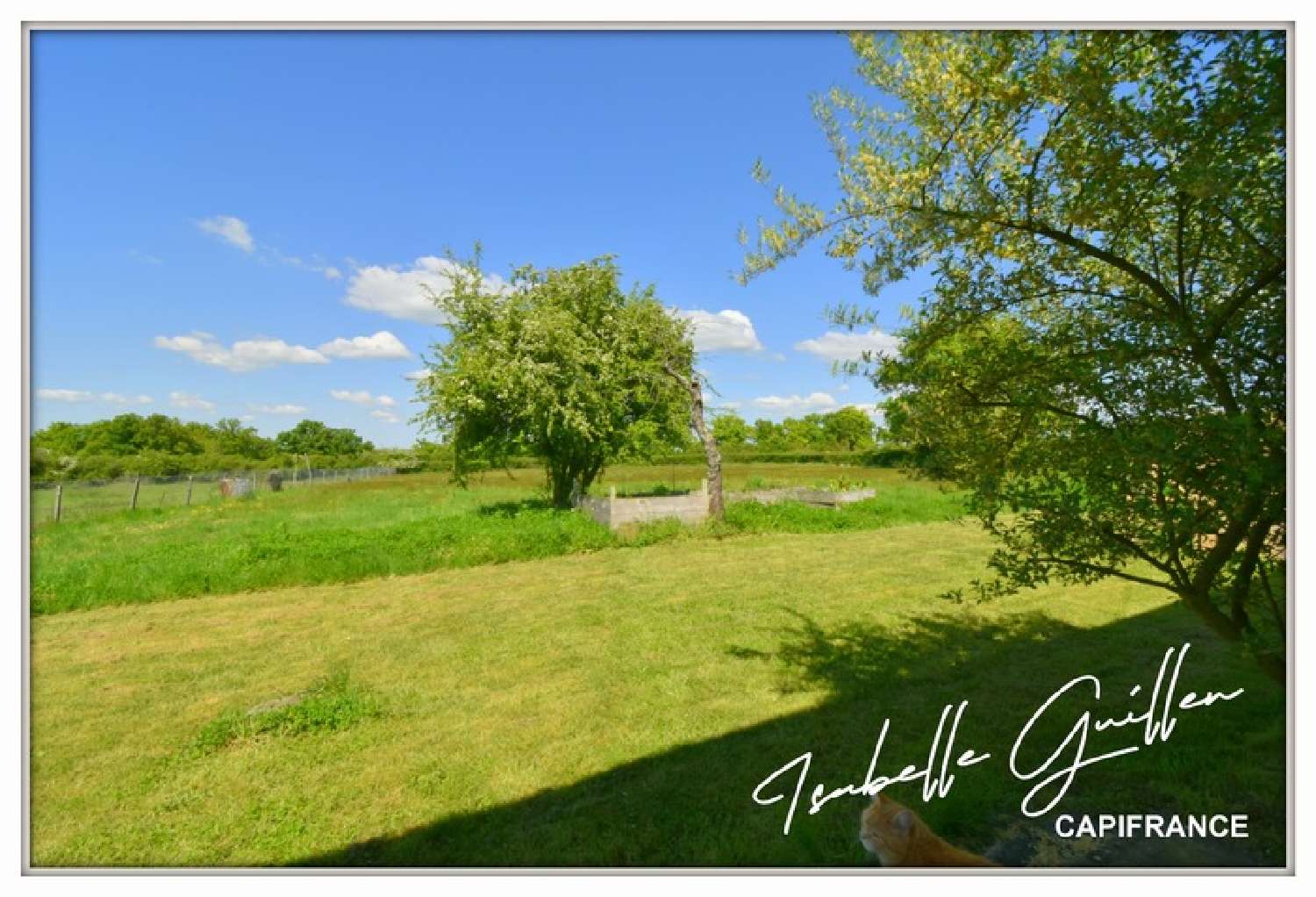 à vendre maison Maisonnais Cher 3