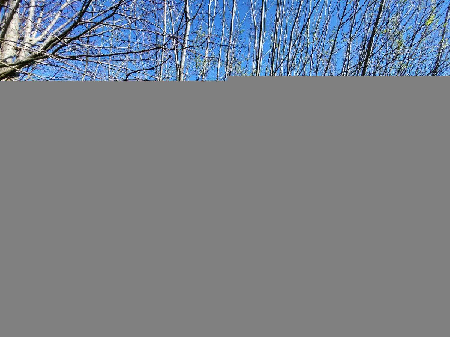  te koop huis Mallerey Jura 4