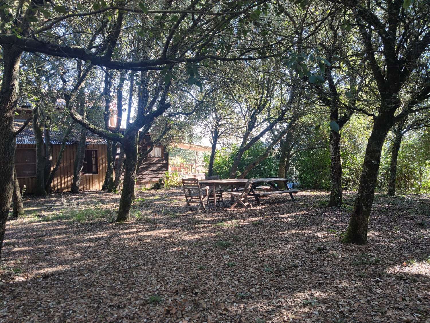  te koop huis Malviès Aude 4