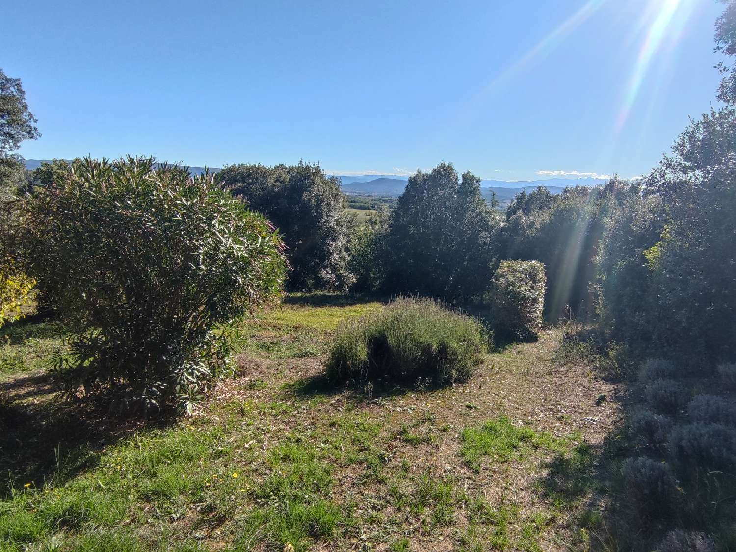  te koop huis Malviès Aude 6