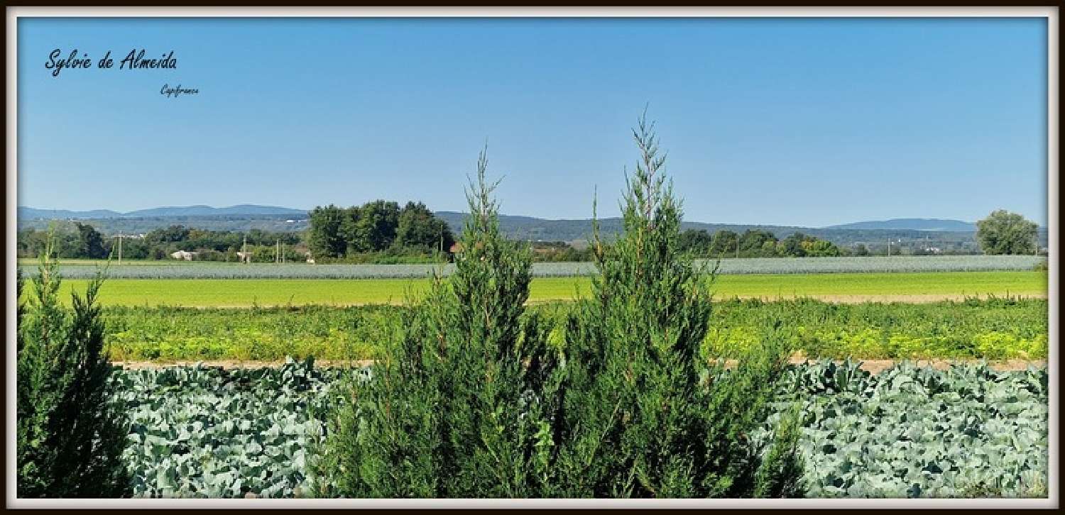 for sale house Manziat Ain 2