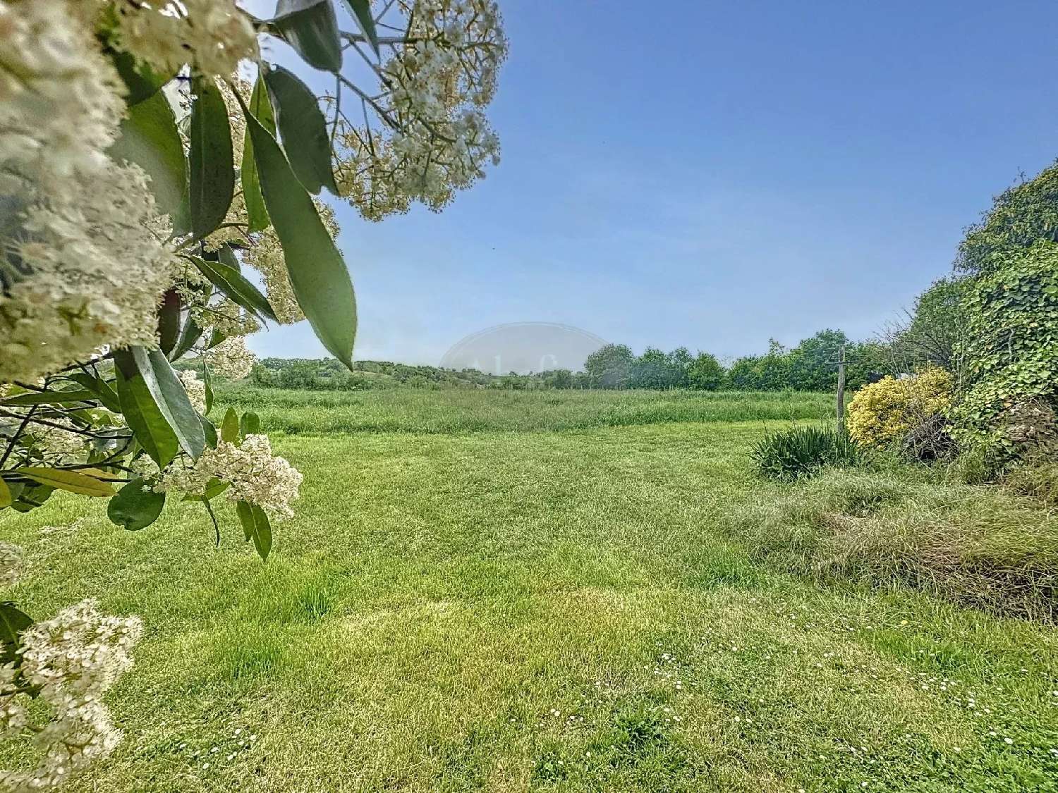  te koop huis Marciac Gers 4