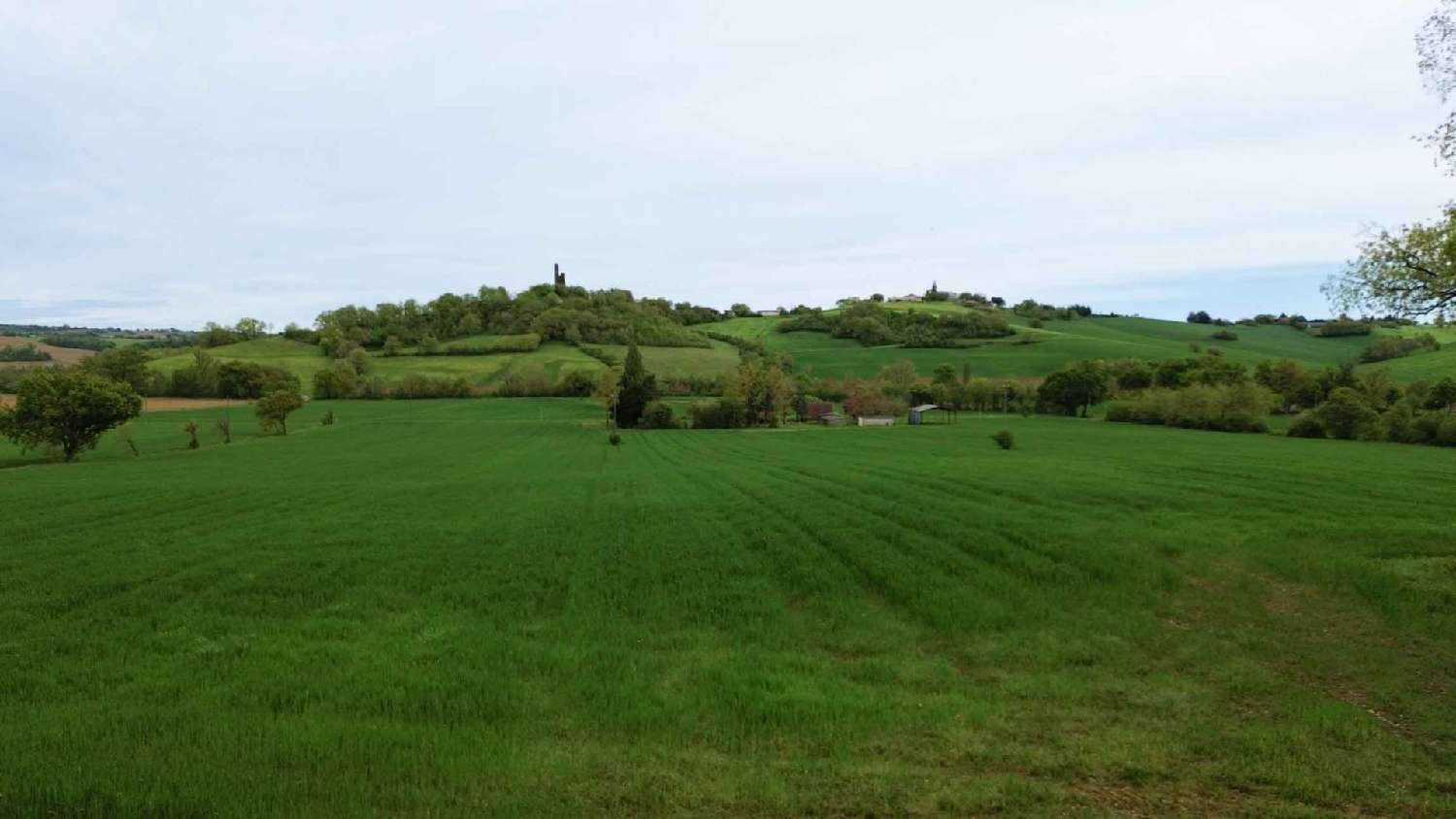  à vendre maison Marciac Gers 4