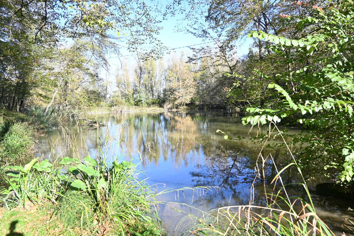  kaufen Haus Marmande Lot-et-Garonne 3