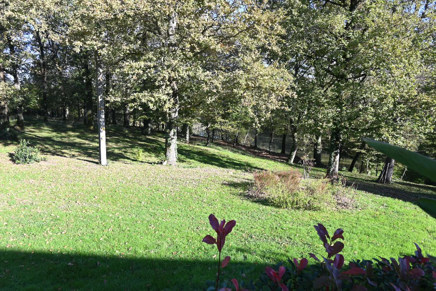  kaufen Haus Marmande Lot-et-Garonne 4