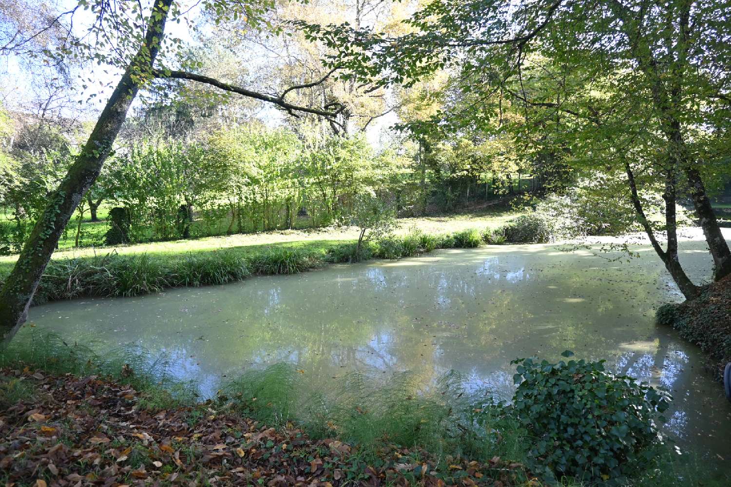  kaufen Haus Marmande Lot-et-Garonne 6