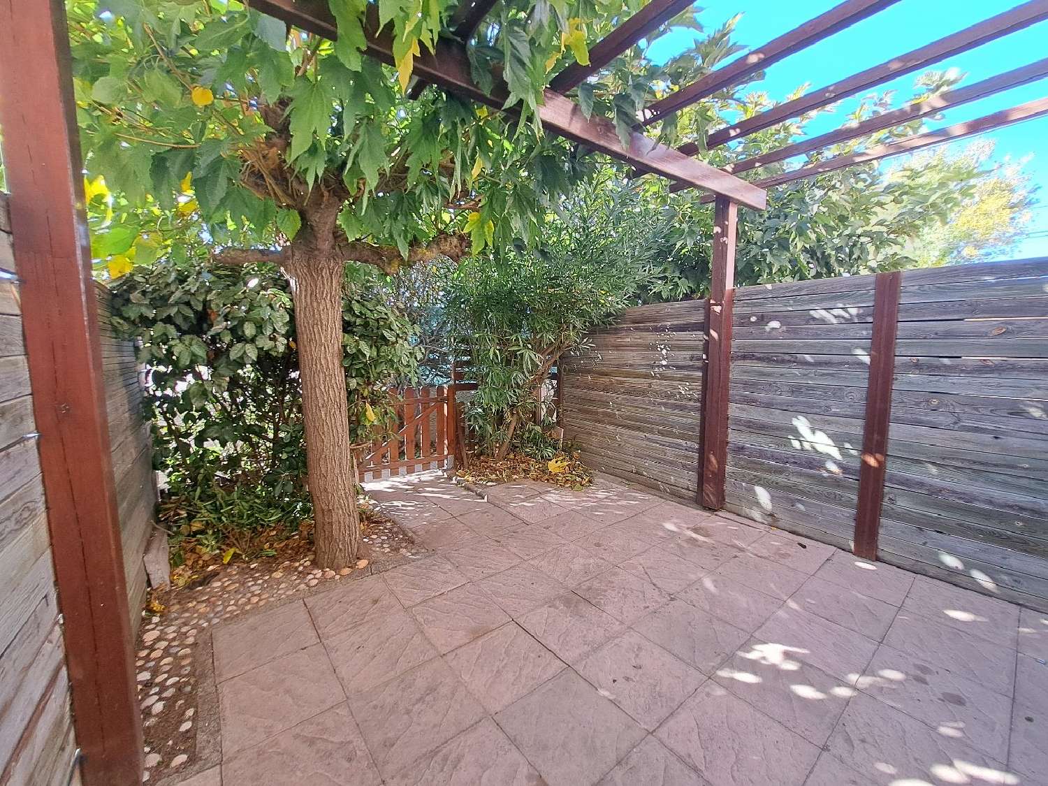 kaufen Haus Marseillan Hérault 1