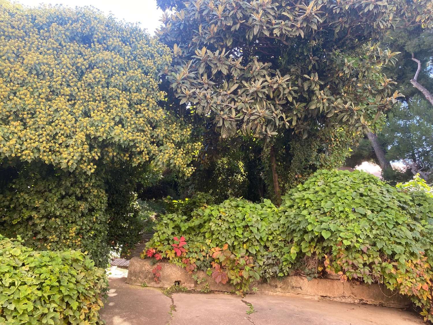  te koop huis Marseille 14e Arrondissement Bouches-du-Rhône 1