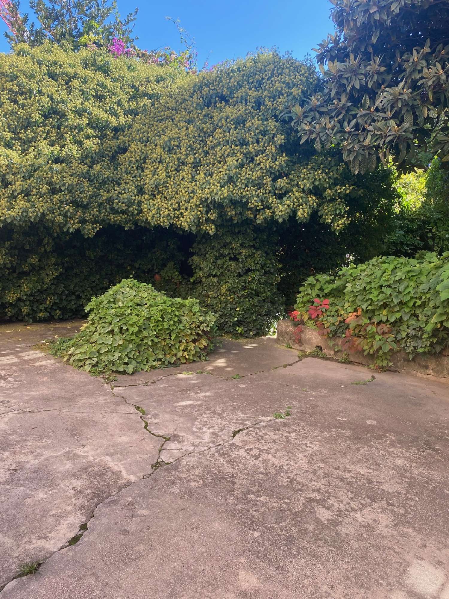  te koop huis Marseille 14e Arrondissement Bouches-du-Rhône 4