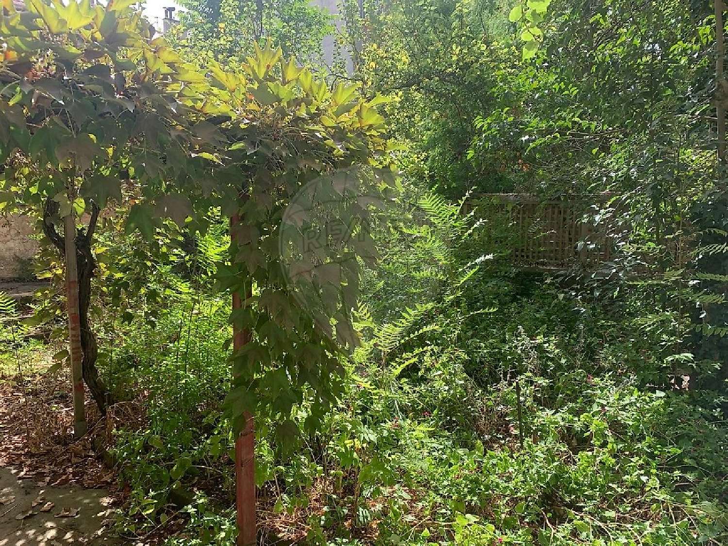  à vendre maison Marseille 4e Arrondissement Bouches-du-Rhône 5