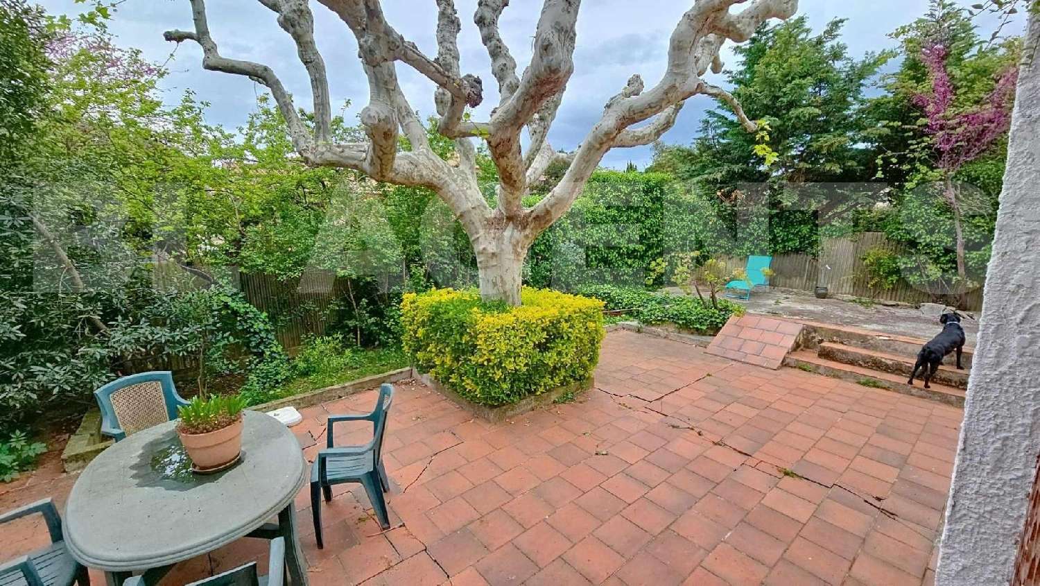 te koop huis Marseille Bouches-du-Rhône 1