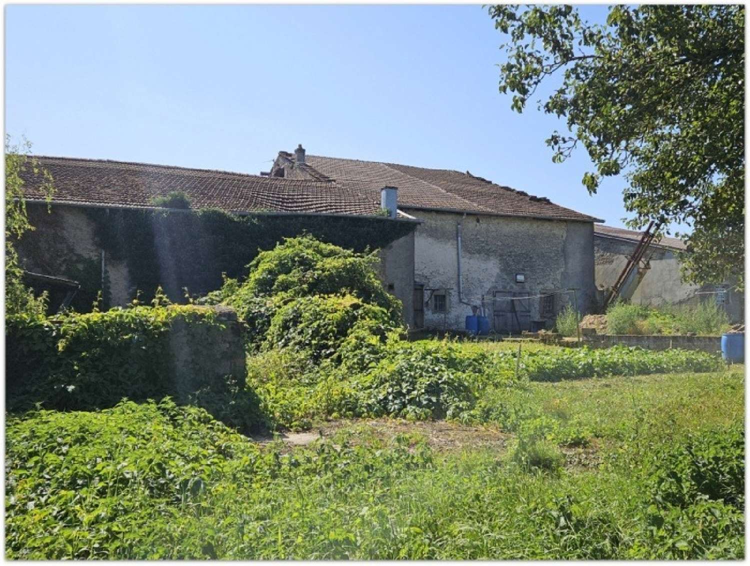  en venta casa Mazeley Vosgos 6