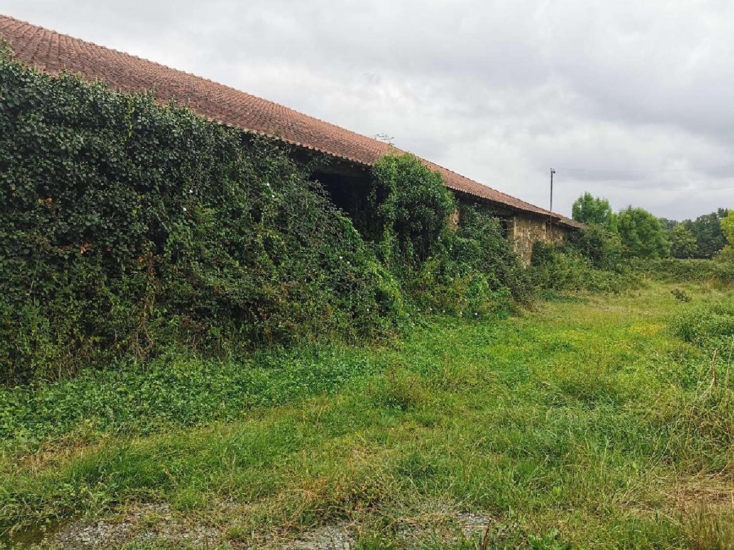 te koop huis Meilhac Haute-Vienne 4