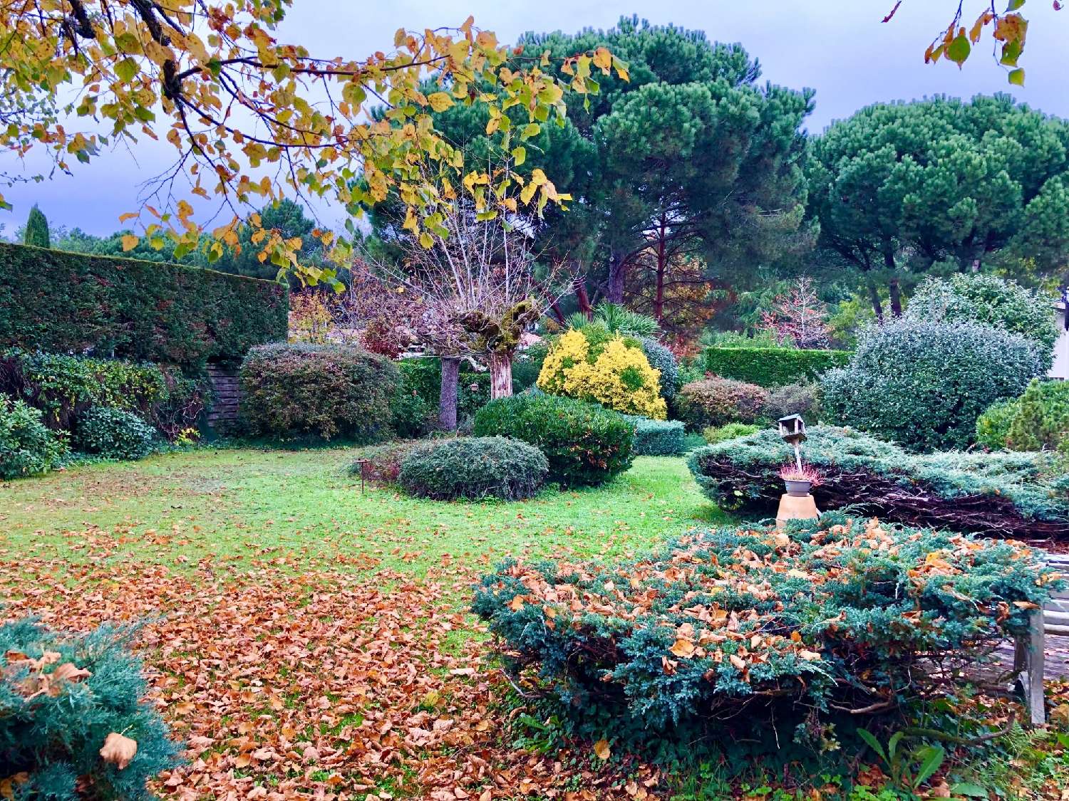  te koop huis Mérignac Gironde 2