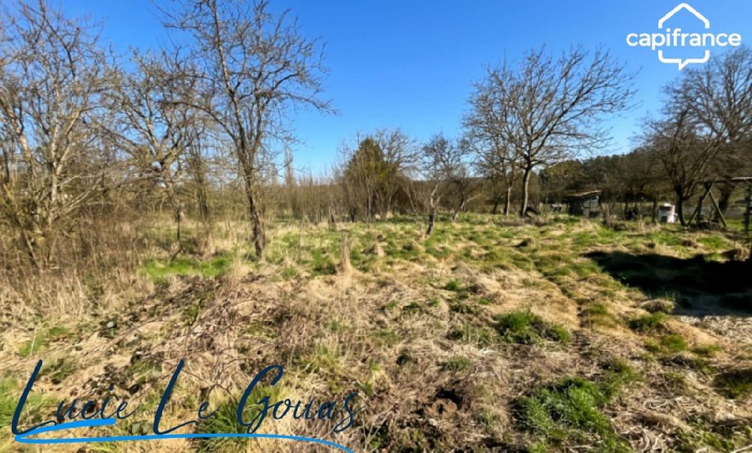  kaufen Haus Merles-sur-Loison Meuse 8