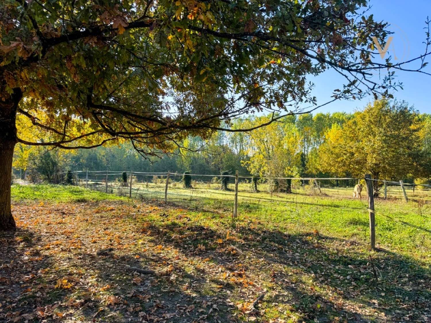 kaufen Haus Merles Tarn-et-Garonne 4