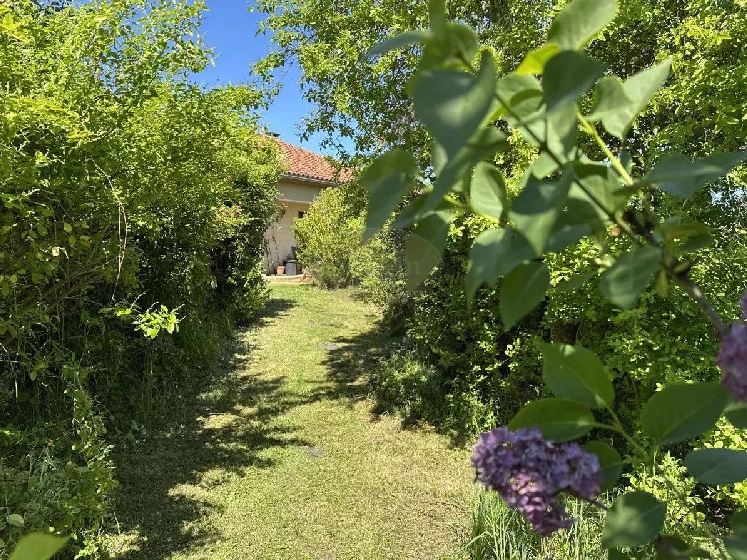 à vendre maison Miélan Gers 4