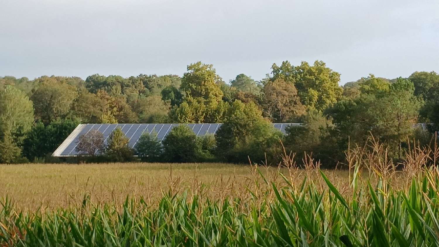 te koop huis Mimbaste Landes 2