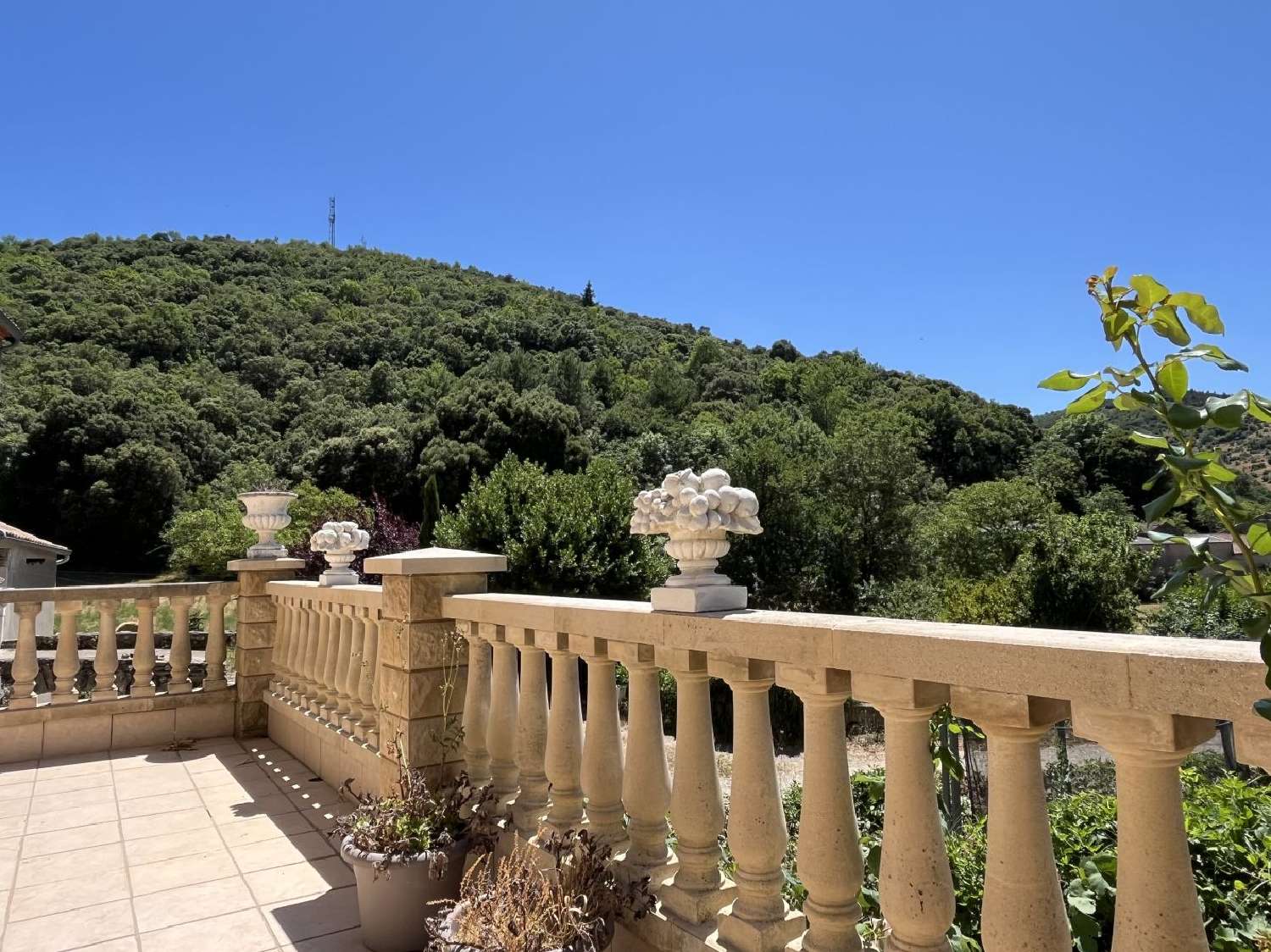  te koop huis Minerve Hérault 1