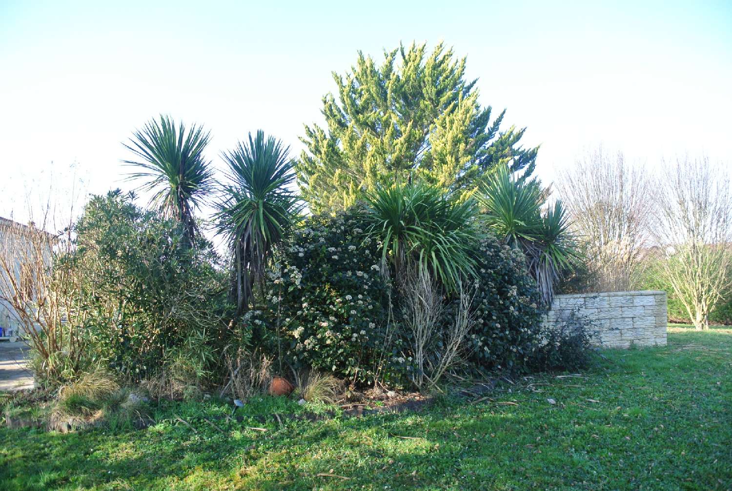  kaufen Haus Miramont-de-Guyenne Lot-et-Garonne 4