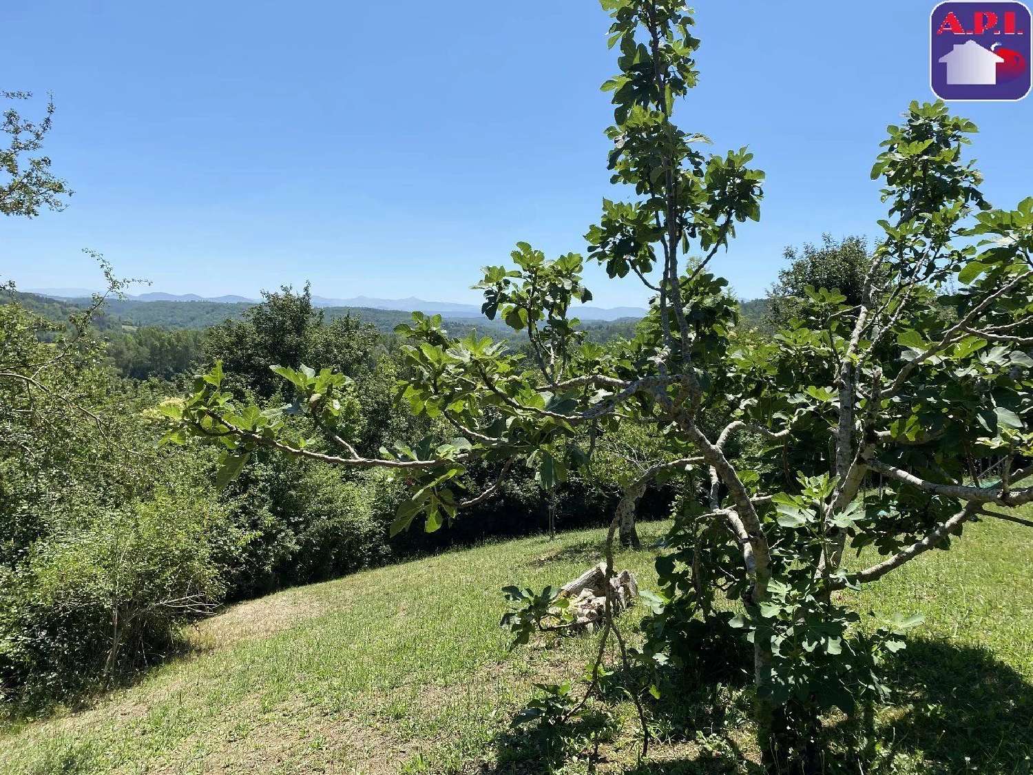  kaufen Haus Mirepoix Ariège 1