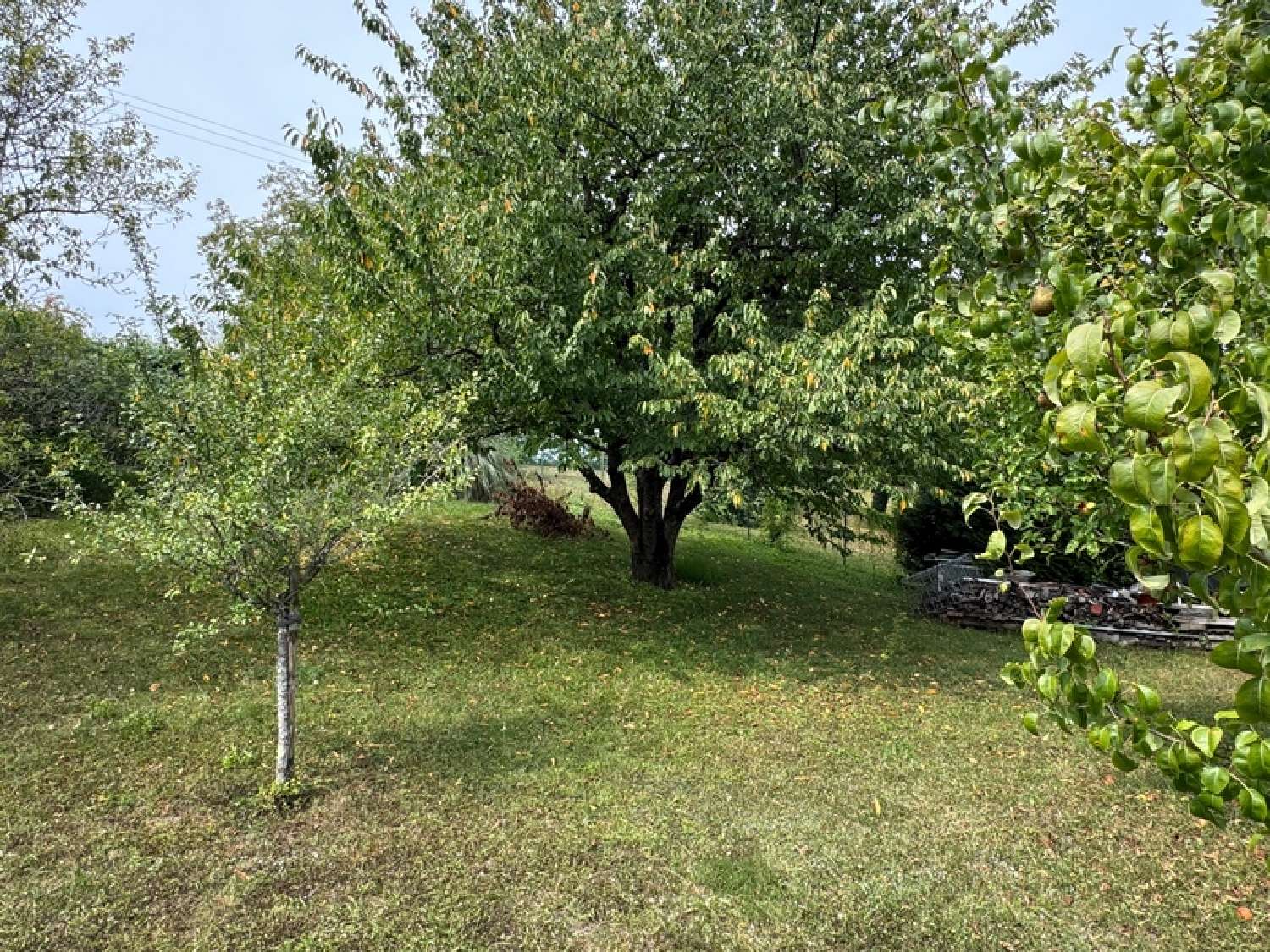 te koop huis Moëslains Haute-Marne 3