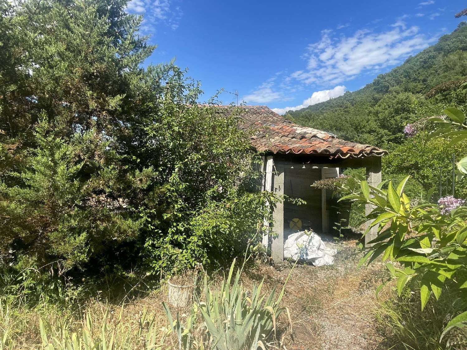 te koop huis Molières-sur-Cèze Gard 1