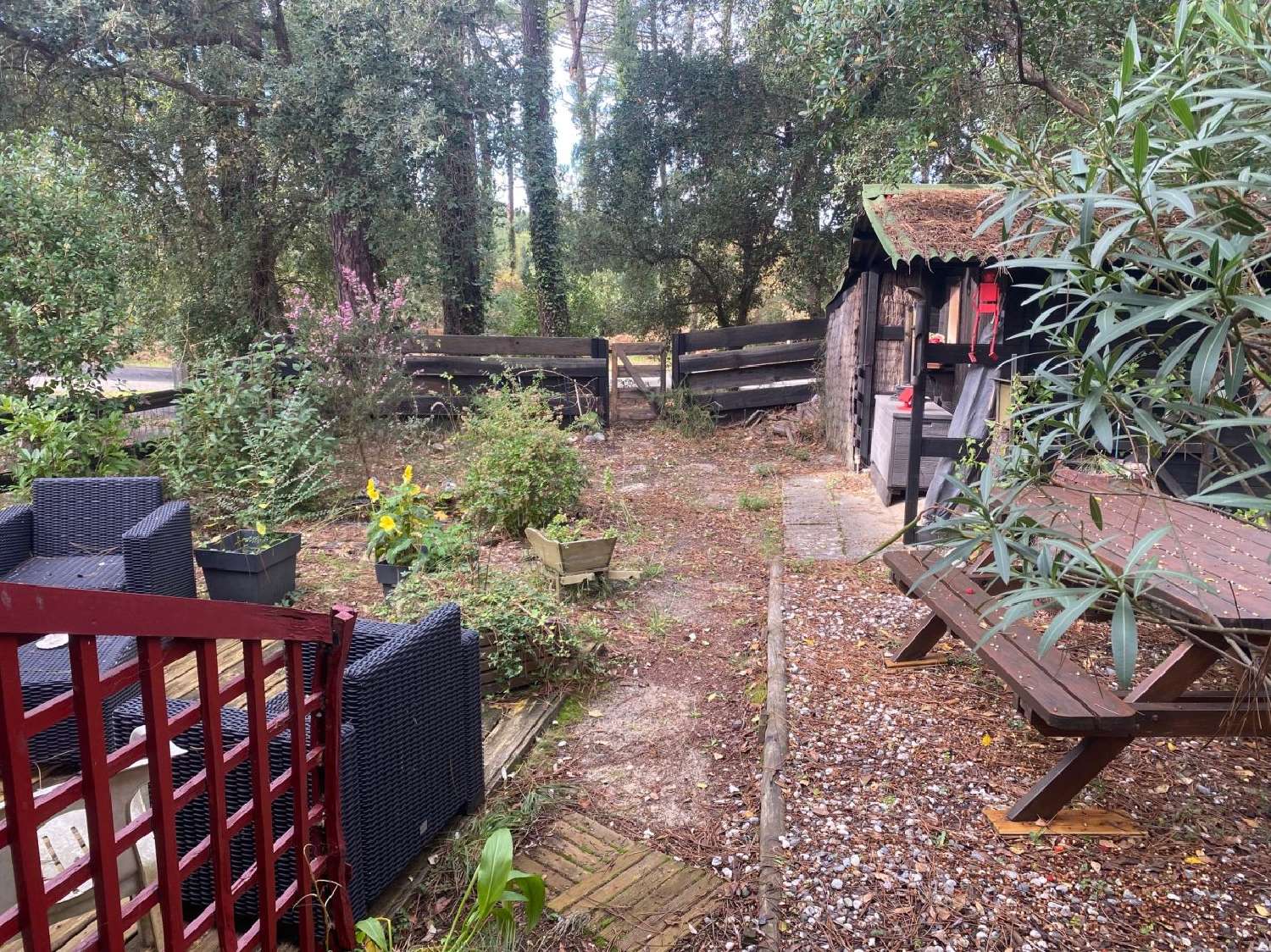  te koop huis Moliets-et-Maa Landes 2