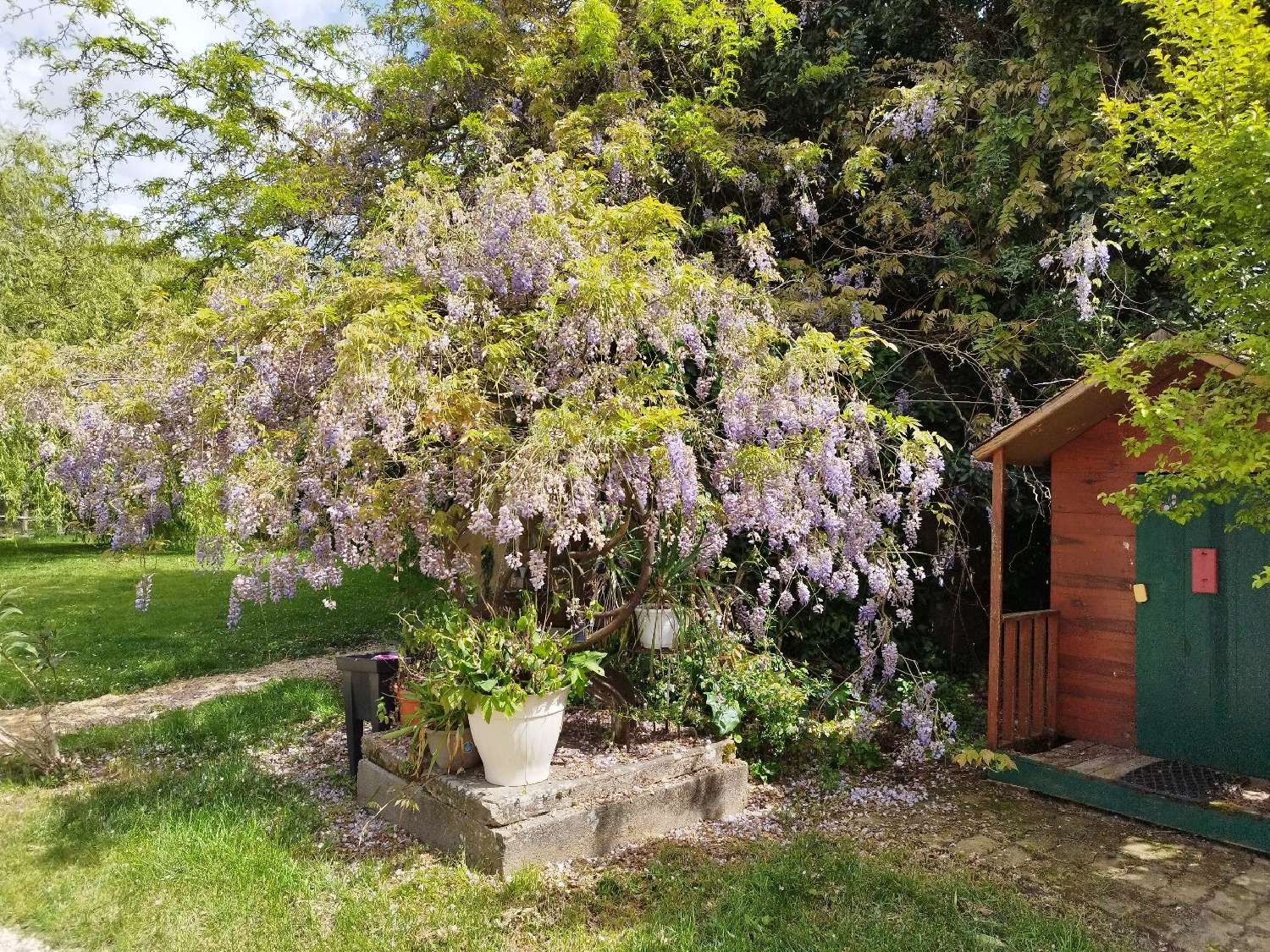  te koop huis Montauban Tarn-et-Garonne 8