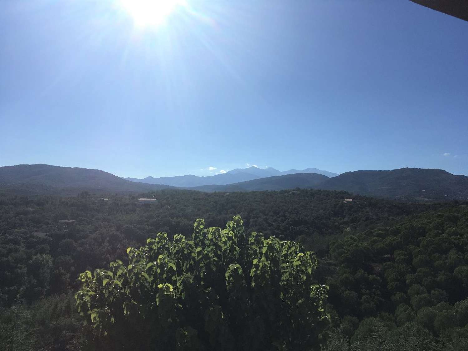  te koop huis Montauriol Pyrénées-Orientales 7