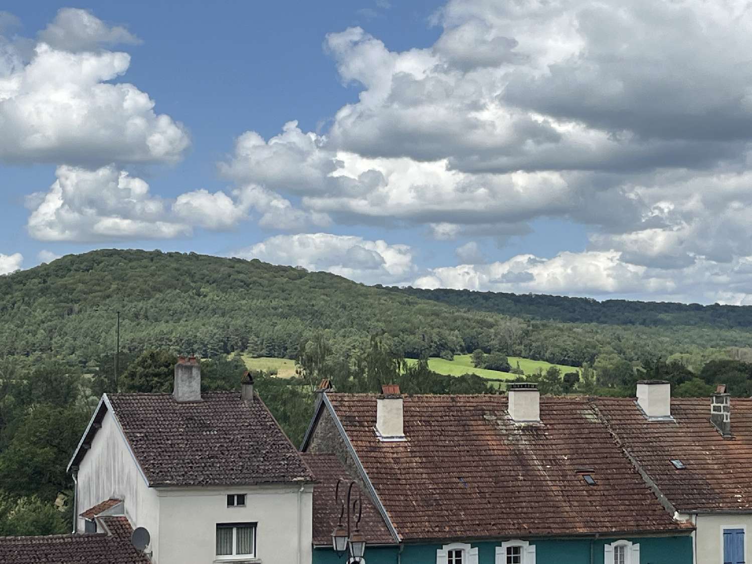 kaufen Haus Montcharvot Haute-Marne 7