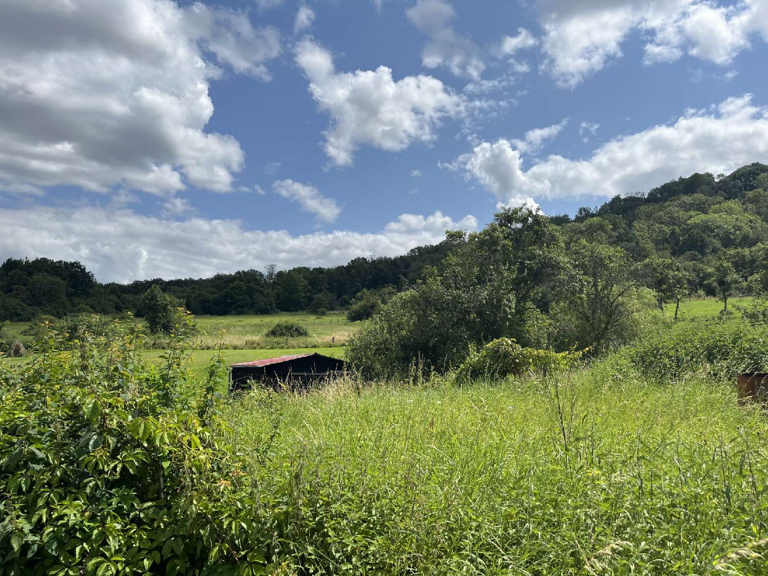 kaufen Haus Montcharvot Haute-Marne 8