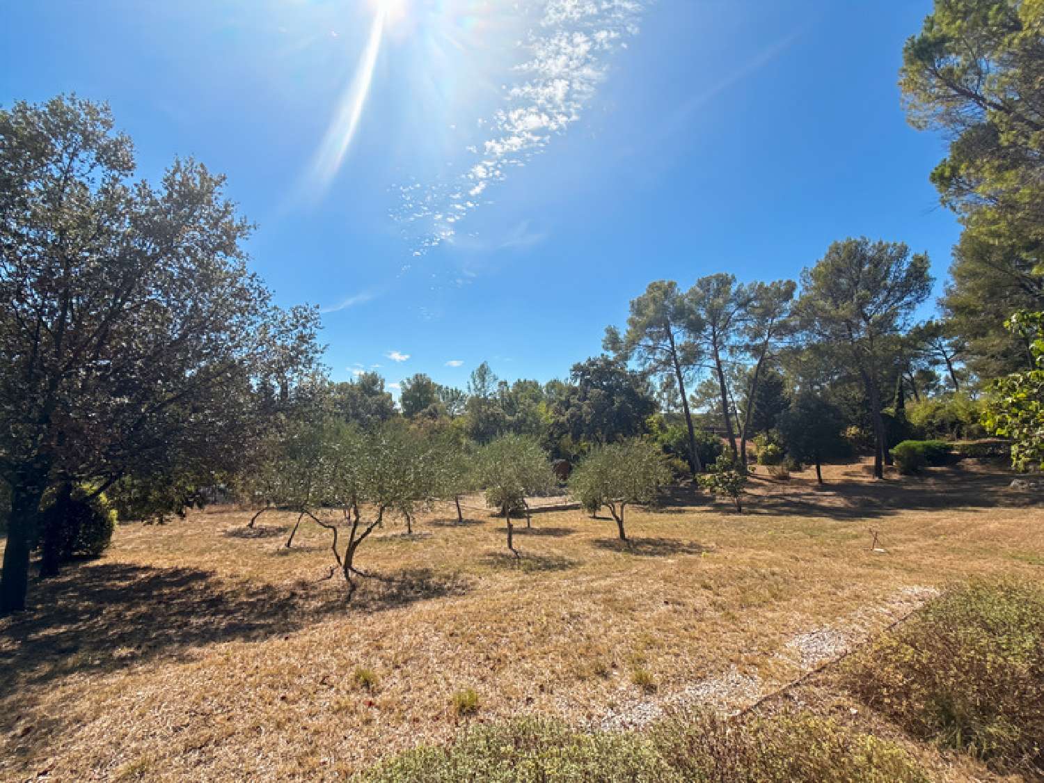 te koop huis Montferrier-sur-Lez Hérault 5
