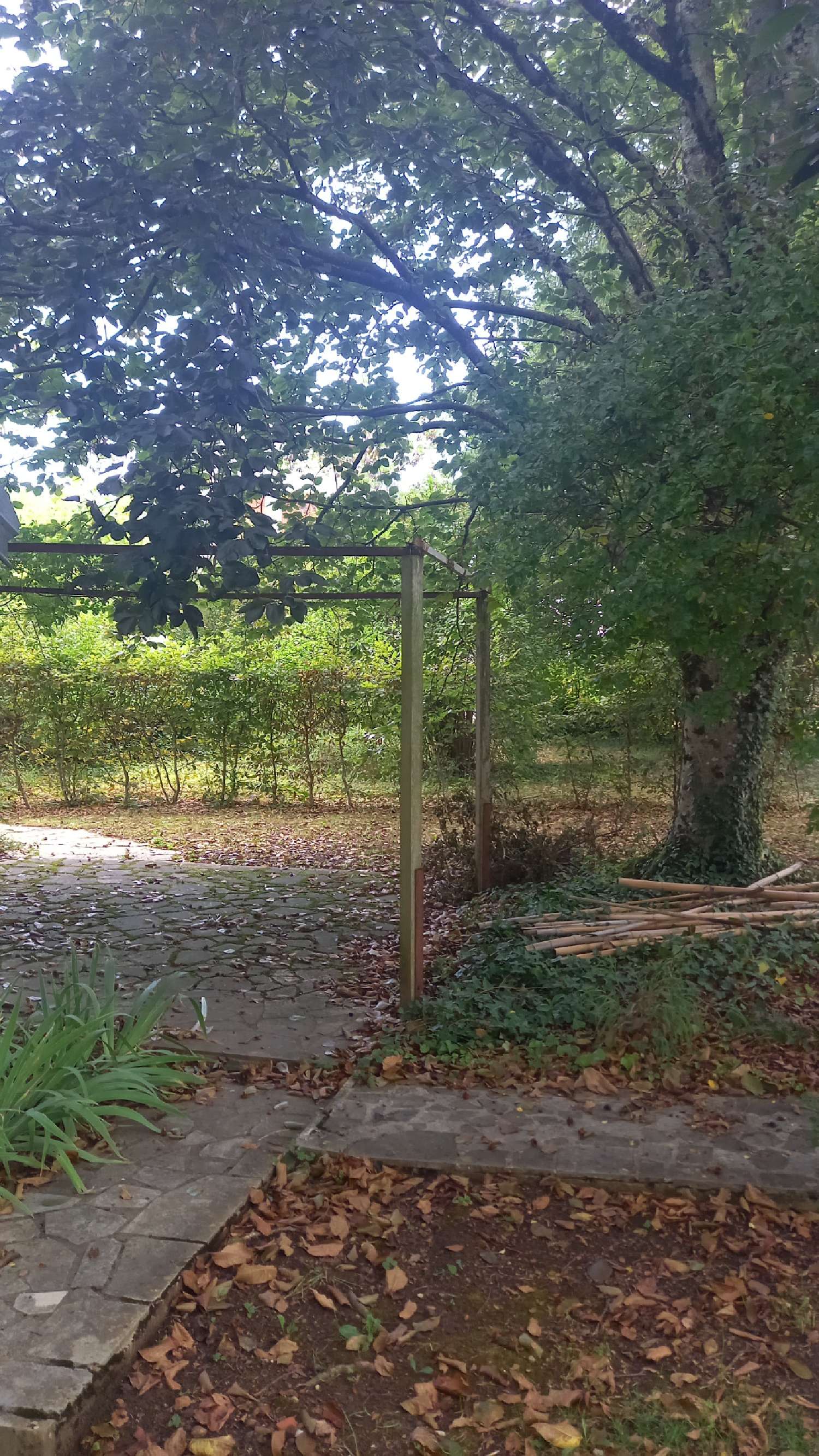  for sale house Montmorot Jura 4