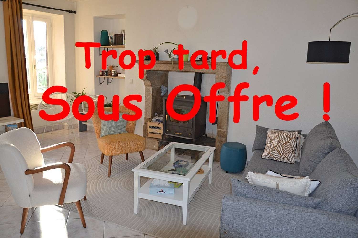  kaufen Haus Mouzillon Loire-Atlantique 1