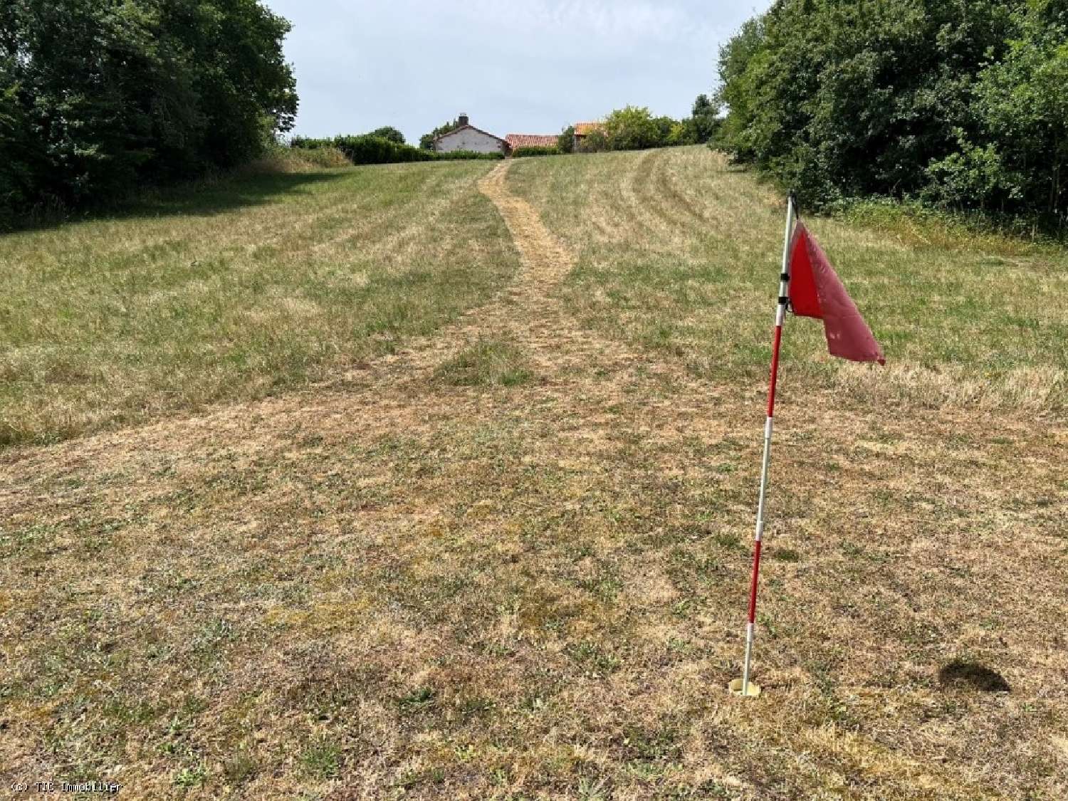 for sale house Nanteuil-en-Vallée Charente 5