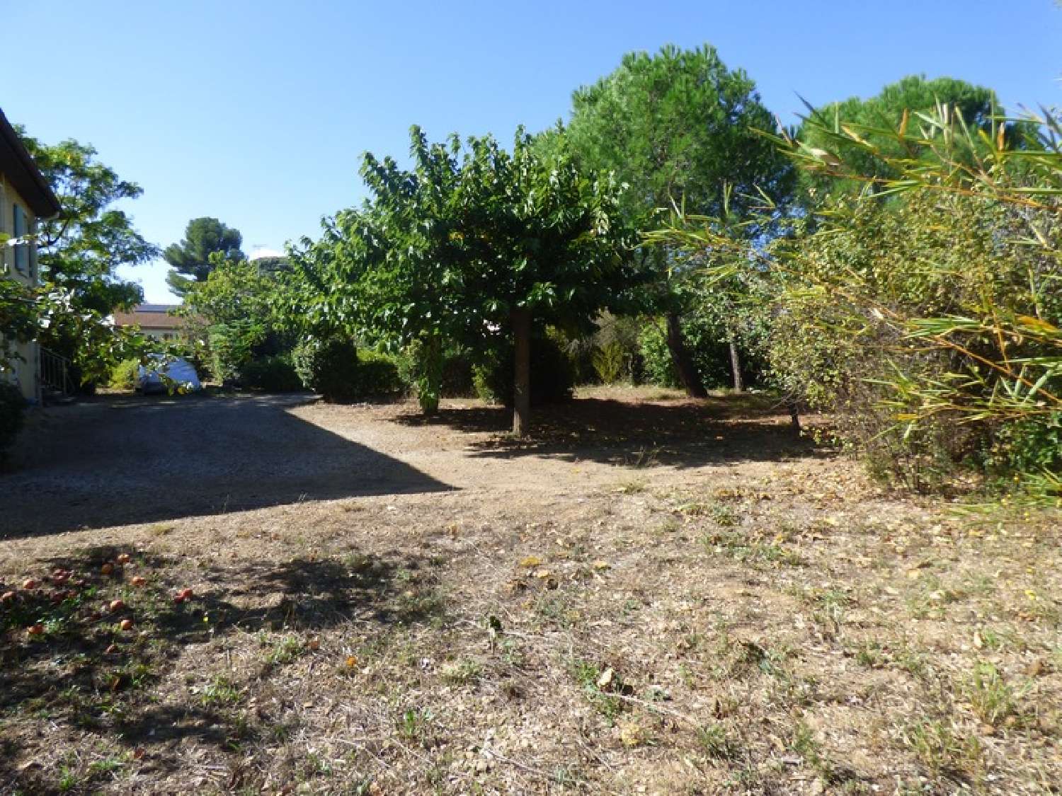  te koop huis Néffiès Hérault 4