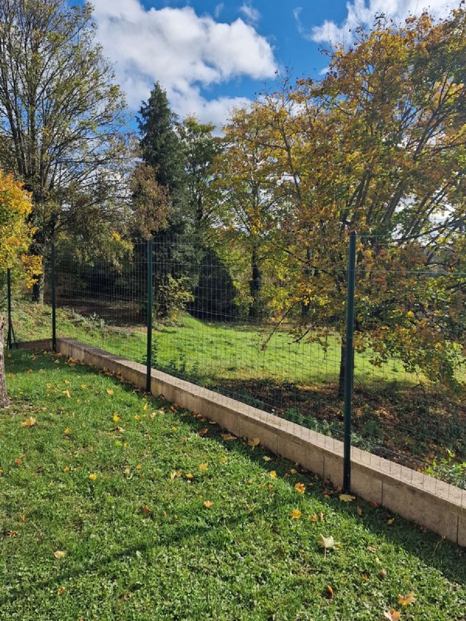 for sale house Neufchâteau Vosges 5