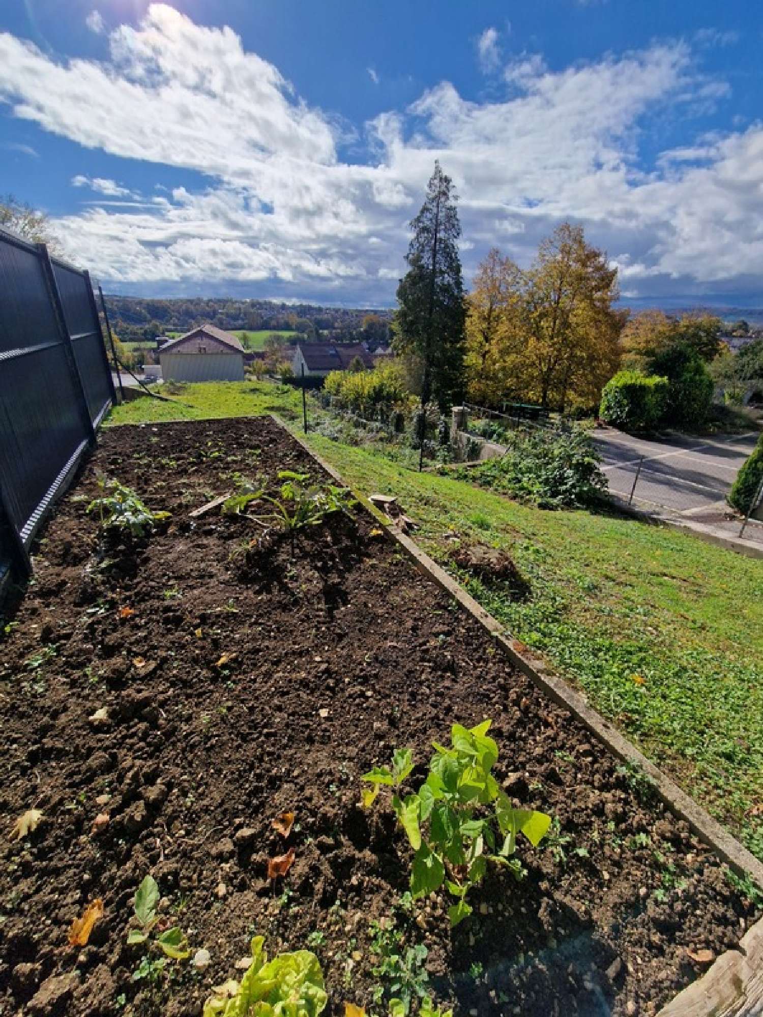 for sale house Neufchâteau Vosges 7